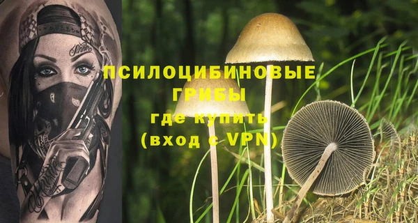 герыч Коряжма