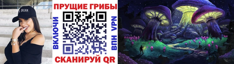 Псилоцибиновые грибы GOLDEN TEACHER  Купить где  Агрыз