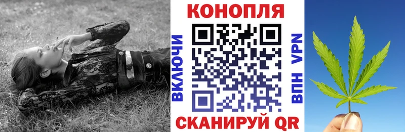 Купить  Агрыз  Каннабис SATIVA & INDICA 